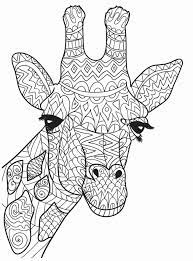 Weiterhin sind alle maßnahmen zum gesundheitsschutz zu beachten und kontakte auf ein minimum zu begrenzen. 1001 Ideen Fur Originelle Und Kreative Mandalas Fur Kinder