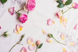 We did not find results for: Types Of Roses A Visual Compendium Ftd Com