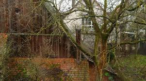 Image result for "Gelber Löwe" "heroldsberg"