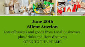 Silent Auction - A Care Camps Fundraiser