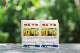 Sasa 25WP