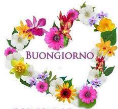 Buongiorno Dolcezza Buongiorno Immagini Frasi Sui Fiori