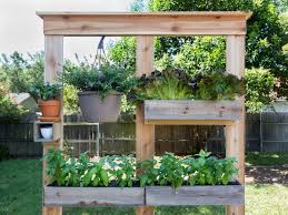 It is not picky, and it can grow even in poor, rocky soil. Make A Diy Privacy Screen And Planter Hgtv