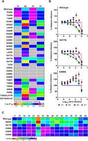 In this video, we take a look at the spike protein mutations from the newly emerged variants in the united states. Landscape Analysis Of Escape Variants Identifies Sars Cov 2 Spike Mutations That Attenuate Monoclonal And Serum Antibody Neutralization Biorxiv