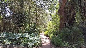 Jardins Exotiques De Bouknadel Wikipedia