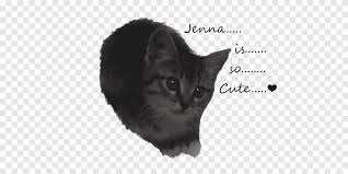 He can weigh between 3 and 6kg. Korat Whiskers Chartreux European Shorthair Manx Cat Cute Little Kitty Mammal Cat Like Mammal Png Pngegg