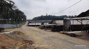 Kampung air bemban, batu 29 5.5 km. Farm Land For Sale At Sedenak Kulai Johor Kulai Johor Photo 3