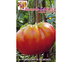 Cuire à couvert durant 45 minutes. Les Plus Belles Varietes De Tomates Italiennes