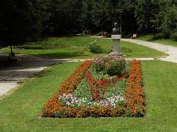 Interesul pentru plante arătat de popoarele primitive şi de civilizaţiile vechi a fost aproape exclusiv de ordin practic; Prezentare