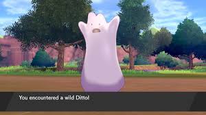 Assume you have a 2 perfect iv ditto and a 2 perfect iv pkmn with no matching perfect iv's. Pokemon Sword And Shield Best High Iv Ditto Guide Segmentnext