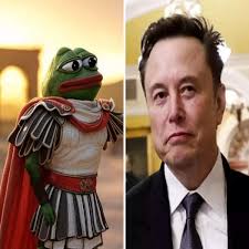 Elon Musk's 'Kekius Maximus' avatar fuels unprecedented 900% crypto rally