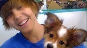 He played college basketball at depaul university. Muere Sammy El Perro De Justin Bieber Y Sus Fans Lloran Sin Consuelo