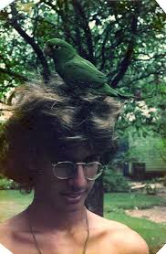 Ivan Alfredo Arvelo Dalmau