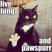 Lolcats Goodbye Lol At Funny Cat Memes Funny Cat Pictures With Words On Them Lol Cat Memes Funny Cats Funny Cat Pictures With Words On