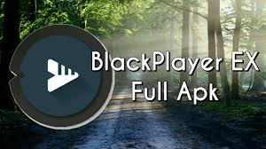 Descargar blackplayer ex music player 20.50 gratis para móviles android, teléfonos inteligentes. Blackplayer Ex Music Mob Apk Descargar Ultima Version Itodoplay