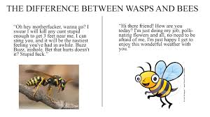 Hemera christian musat / getty images. The Difference Between Wasps And Bees Imgur Wasp Sarcastic Bee