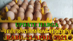 Saat ini, harga telur ayam memang terus merangkak naik. Harga Telur Ayam Ras Hari Ini Rabu 21 April 2021 Youtube