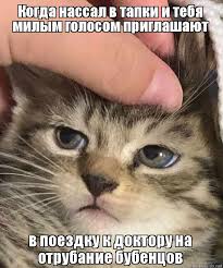 Резултат с изображение за „шутки“
