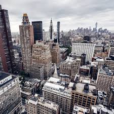 According to the law, pet owners are allowed to keep their pet if. Zenfi Building Dark Fiber Spider Web For 5g Across Five Boroughs Of Nyc