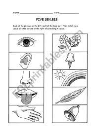 Free printable worksheets kindergarten five senses collection. Five Senses Esl Worksheet By Raponxi
