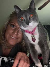 Stray Cat in Westmoreland, PEI, near Inkerman Road