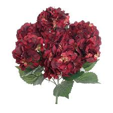 We did not find results for: 20 In Burgundy Green Hydrangea Bush X 7 Silk Hydrangeas