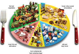 Obesity Balanced Diets And Treatment 1 The Components Of A