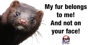 Pin On Fur Out The Closet