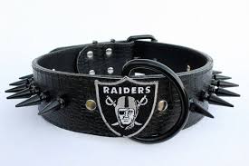 2 Black Alligator Embossed Leather Oakland Raiders Spiked Collar Leather Embossed Leather Raiders