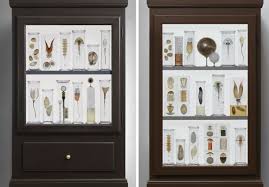 Discovering the mysteries of cabinets of curiosities can also help illuminate the drives behind anyone's desire to collect any kind of object. An Artist S Beautiful Obsession With Cabinets Of Curiosity