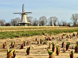 Holland Ridge Farms için profil