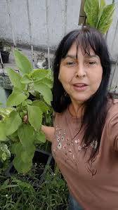 repost @erika.canton #cochonilha #joaninha