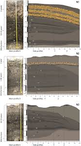 Image result for Phacelurus gabonensis