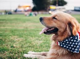 Online shopping from a great selection at movies & tv store. Barking Oaks Pet Resort Spa Pet Grooming Private Spa Training Doggy Day Care And More You Can Be Sure There Is Something Each And Every Pet Will Enjoy