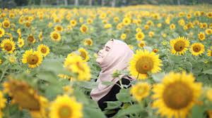 Taman bunga nusantara ( part #1 ) 23 hektare ditumbuhi bunga !! 10 Taman Bunga Terindah Di Indonesia Blog Unik