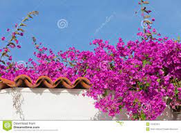 Pin On In Search Of My Mother S Garden