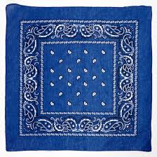 Kısa ya da uzun saç fark etmeksizin herkesin tercih ettiği bir ürün olan bandana. Paisley Bandana Headwrap Royal Blue Claire S
