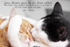 Image result for PERFECT LOVE QUOTES