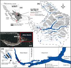Here is the list of top 10 best metal detectors to buy in 2020. The Bacterial Community Of Quesnel Lake Sediments Impacted By A Catastrophic Mine Tailings Spill Differ In Composition From Those At Undisturbed Locations Two Years Post Spill Scientific Reports