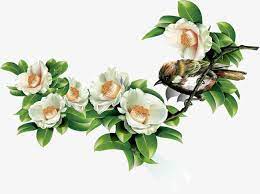 Green Leaves And Birds In Spring Spring Background Spring Illustration Dating Spring Png Transparent Clipart Image And Psd File For Free Download Spring Illustration Spring Background Watercolor Pattern