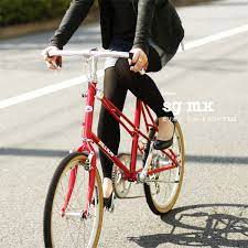 billion ビリオン sg mx ショーグリmx 特に女性におすすめ 後悔しない 大人の折りたたみ自転車ミニベロ選び ミニベロ 自転車 折りたたみ自転車