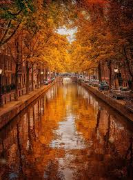 Amsterdam In Fall Beautiful Places Netherlands Tourism Places
