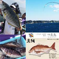 釣り船紹介】『千葉県いすみ市大原港 つる丸』さま | 魚墨ブログ