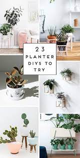 They can be planted inside of just about anything that can hold them. Green Thumbs Up 23 Unique Diy Planters You Ll Actually Want To Make
