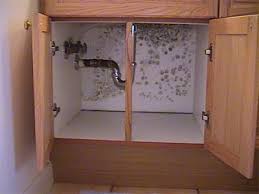 Hidden Mold Just Because You Do Not See Indoor Mold Growth Does Not Mean It Isn T There A Mold Inspector Can Help Y Mold In Bathroom Mold Remover Under Sink