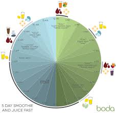 5 Day Juice Cleanse Detox Program Chart Visual Ly