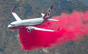 Délocaliser votre chat, chien, hamster, chèvre à l'autre bout de la planète, en quelques clics, ata vous donnera toutes les infos et devis gratuit pour le transport animalier par avion. Les Bombardiers D Eau Toujours Aussi Impuissants En Australie Avionslegendaires Net