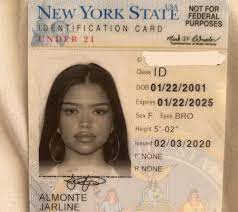 For quicker service, make a reservation online before visiting offices in new york city, westchester, nassau, suffolk, rockland, onondaga, monroe or albany. Pin On I D