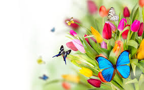 On what date in april is the queen's birthday? Fun Facts Famous Birthdays In April American Training American Training