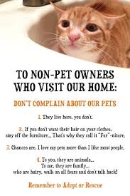 To Non Pet Owners Who Visit Our Home Don T Complain About Our Pets They Live Here You Don T If You Don T Want Their Hair On Cute Baby Cats Pets Pet Owners